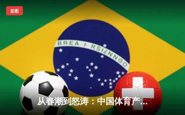 从春潮到怒涛：中国体育产业的市场化变革与未来挑战
