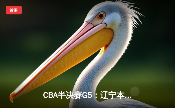 CBA半决赛G5：辽宁本钢加时逆转广东宏远 赵继伟35分创生涯新高