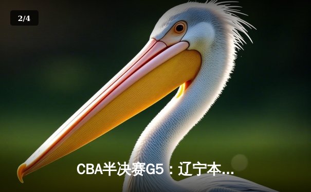 CBA半决赛G5：辽宁本钢加时逆转广东宏远 赵继伟35分创生涯新高 - 2